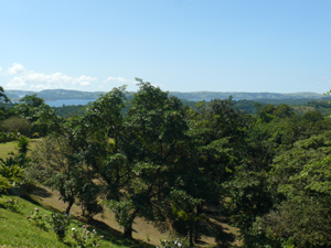 A view from the plantel includes the lake.